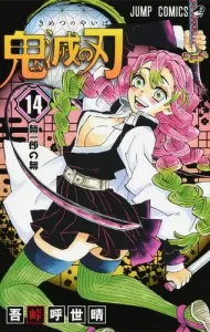 Demon Slayer: Kimetsu no Yaiba 14 (Jump Comics)