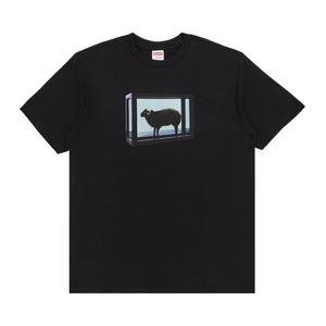 Футболка Supreme x Damien Hirst Tee, Black