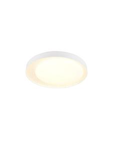 Потолочный светильник ALETA белого цвета Reality Leuchten