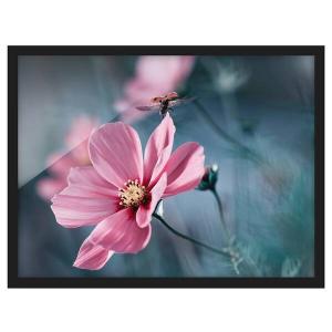 Картина Bilderwelten Marienkäfer beim Start I, розовый