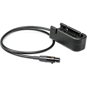 Remote Audio Remote Audio BDS Input Cable for Hi-Q BDSHQINV2