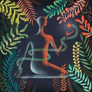 Виниловая пластинка Loma: Don't Shy Away