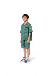 Бермудские шорты Lanvin, Green Blue