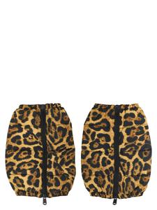 Гейтер "Miao" Goldbergh, мультиколор