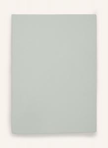 Простыня на резинке bella donna FORMESSE, светло-зеленый