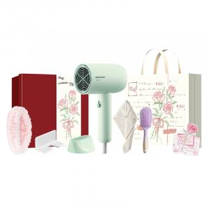 Фен 1800W с постоянной температурой уход за волосами высокая мощность компактный и удобный повседневный набор PH1621 POREE