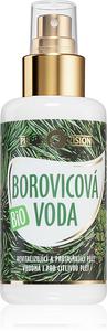 Био-Спрей-Тоник для чувствительной кожи Purity Vision, 100 мл