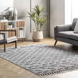 Ковер Dottie Soft Shaggy Textured Trellis Tassel Area Rug nuLOOM, 122x183 см, серый
