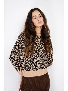 Пуловер ASSUILI, цвет schwarz/beige