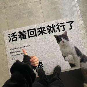 Budis Ковер 60х90 см для прихожей, пвх петля, противоскользящий, готов к использованию