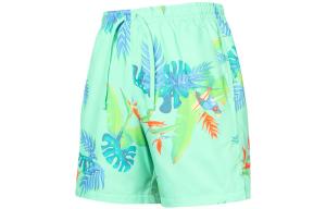 Повседневные шорты мужские изумрудно-зеленые Nike, изумрудно-зеленый