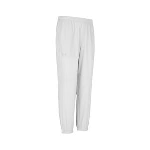 Повседневные брюки унисекс серые Under Armour, серый