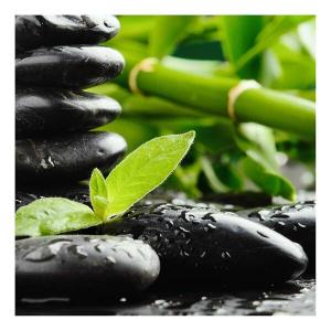 Фреска A.S. Création Zen Stones Bambus цвет grün/schwarz