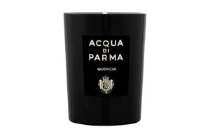 Ароматическая свеча PAERMAZHISHUI 200 г Acqua Di Parma, oak scented candles at home