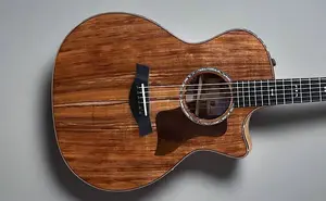 Taylor-guitars 724CE