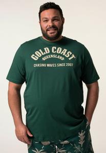 Футболка Men Plus Print T-shirt, Dark Petrol/Teal