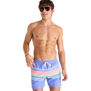 Мужские классические плавки Gotta Get Away с подкладкой, ширина 5,5 дюймов. Chubbies, Pastel Purple Stripe