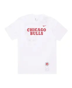 Футболка Chicago Bulls, базовая белая. Nike, белый