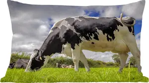 Декоративная подушка , подушка для дивана, декоративная подушка для гостиной, 50x30 см, корова - трава - хвост - животные - украшение для гостиной - обивка с фотографией MuchoWow