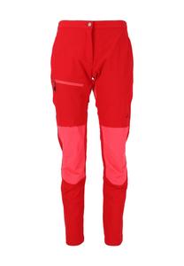 Уличные брюки Salton с функцией растягивания и водоотталкивающими свойствами WHISTLER, цвет Ski Patrol