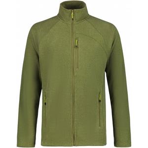 Нижняя куртка Boonville Icepeak, зеленый