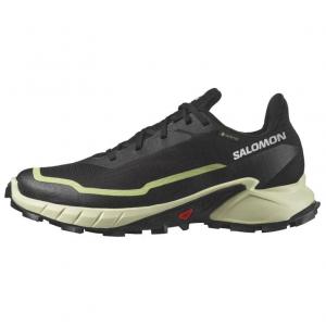 SALOMON Кроссовки Alphacross 5 Gtx 'Black Green' Women's