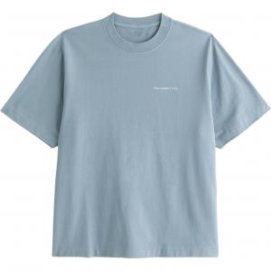 Футболка мужская Abercrombie＆Fitch, синий