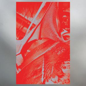 Виниловая пластинка Helm: Olympic Mess