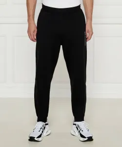 Спортивные штаны Regular fit Ea7, черный