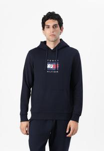 Толстовка Tommy Hilfiger LINEAR FLAG GRAPHIC HOODIE UNISEX, Desert Sky/Dark Blue