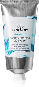 Dermacare+ цинковый восстанавливающий крем для тела и лица Soaphoria, 75 мл