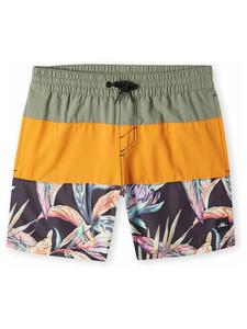 Шорты для плавания O'Neill