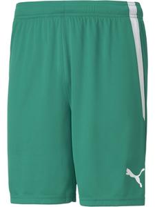 Puma Спортивные брюки "TeamLIGA Shorts" зеленого цвета