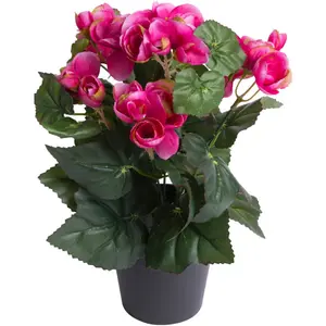 Искусственный цветок Botanic-Haus «Кустовая бегония 7 стеблей», цвет beauty