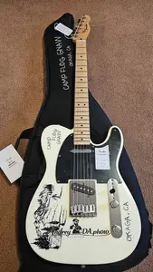 Fender Standard 2025 - Тайлер Зе Креатор 2025 Camp Flog Gnaw оформление - Ограниченное издание