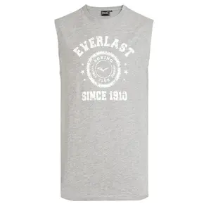 Мужская футболка Carole Everlast, серый