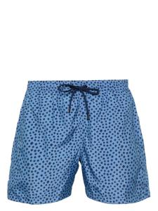 Canali плавки-шорты в горох, синий