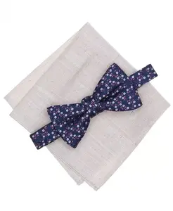 Мужской комплект из двух предметов: галстук-бабочка и платок-нагрудник Sutherland Floral Bar Iii, синий