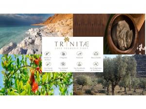 Набор Spiegelau, 6 x 4 бокала/шт. Бокал для шампанского 440/29 Authentis 4400185 и подарок + пожертвование