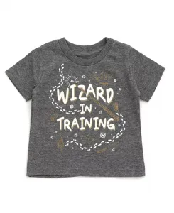 Футболка для взрослых в семейном стиле Baby Boys Matching Harry Potter, серый