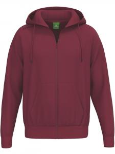Спортивная куртка Ts Hoody Jacket erima, красный