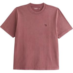 Футболка мужская Abercrombie＆Fitch, коричневый