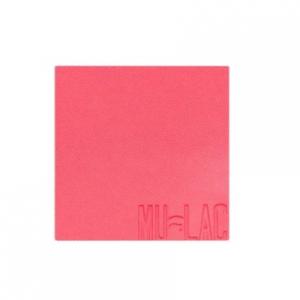 Пудра Refill System Compact Powder For Cheeks 12 Pray