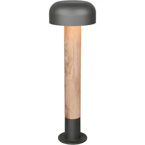 Настольный светильник TRIO для улицы FRASER, уличный торшер высотой 54 см, без 1x E27 макс. 10 Вт, IP54 E27 1 шт., теплый белый - холодный белый, садовая дорожка, терраса, Ø 19 см, высота 54 см, сменная лампа Trio Leuchten, серый