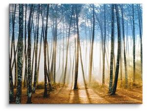 Картина на холсте ArtMind Shining woods, многоцветный