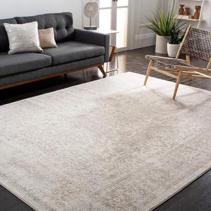 Ковер SAFAVIEH, 275 x 366 см, Evoke Collection, Ivory & Taupe, дизайн Oriental Distressed, не линяет и прост в уходе, идеален для помещений с высокой проходимостью в гостиной, спальне (EVK256E)
