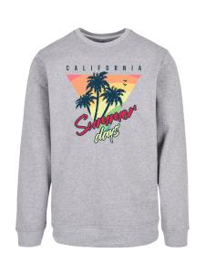 Толстовка F4NT4STIC California Palmen Retro, серый