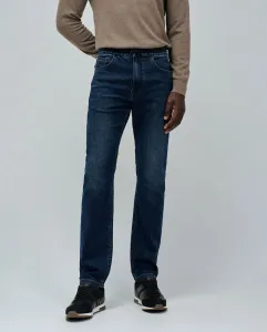 Мужские спортивные брюки джоггеры S-Activ Salsa Jeans, темно-синий