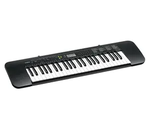 Casio Ctk 240 H7