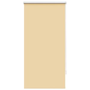 Полноцветная рулонная штора 64,4/120 см, ширина ткани 60 см, изготовлена из полиэстера, бежевого цвета vidaXL, бежевый